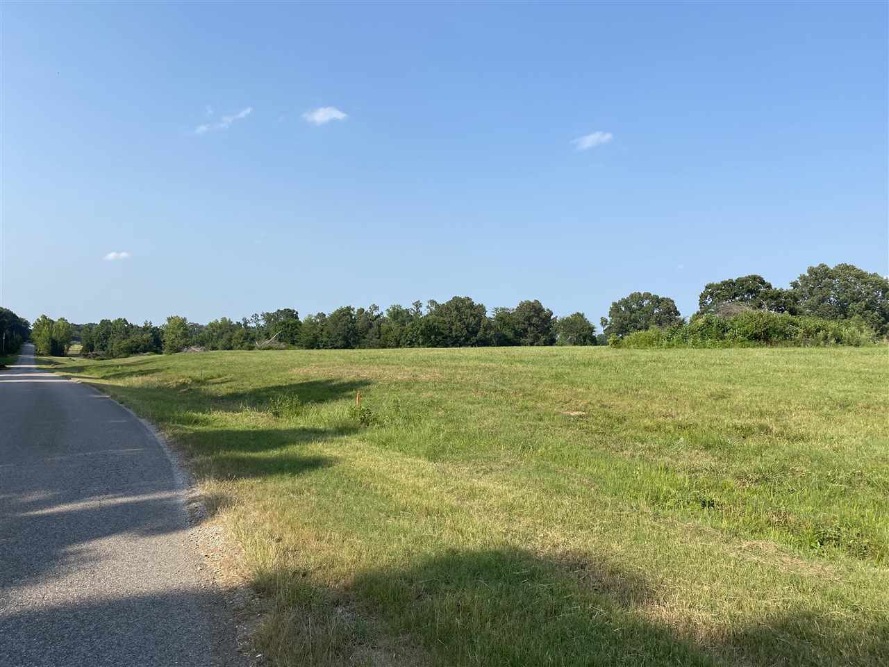 2495 Tomlin Road Somerville, TN 38068 - Photo 2 of 3 Gallery Image 2