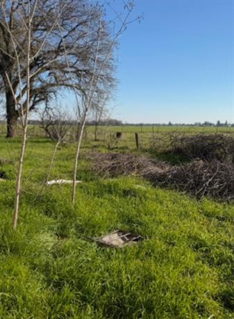 1802 Kasser Road Elverta, CA 95626 - Photo 7 of 7