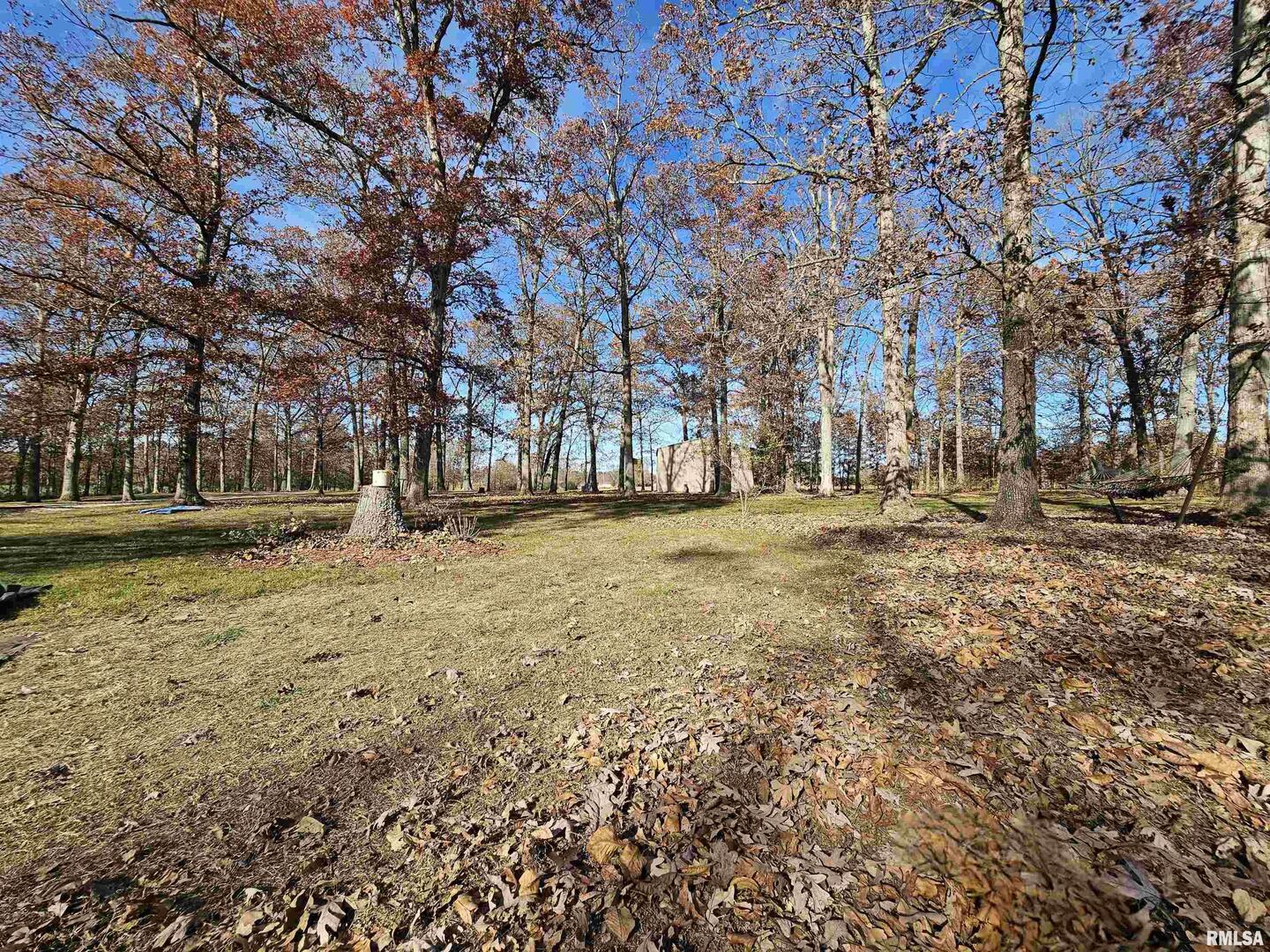 4248 Church Road Salem, IL 62881 - Photo 38 of 57