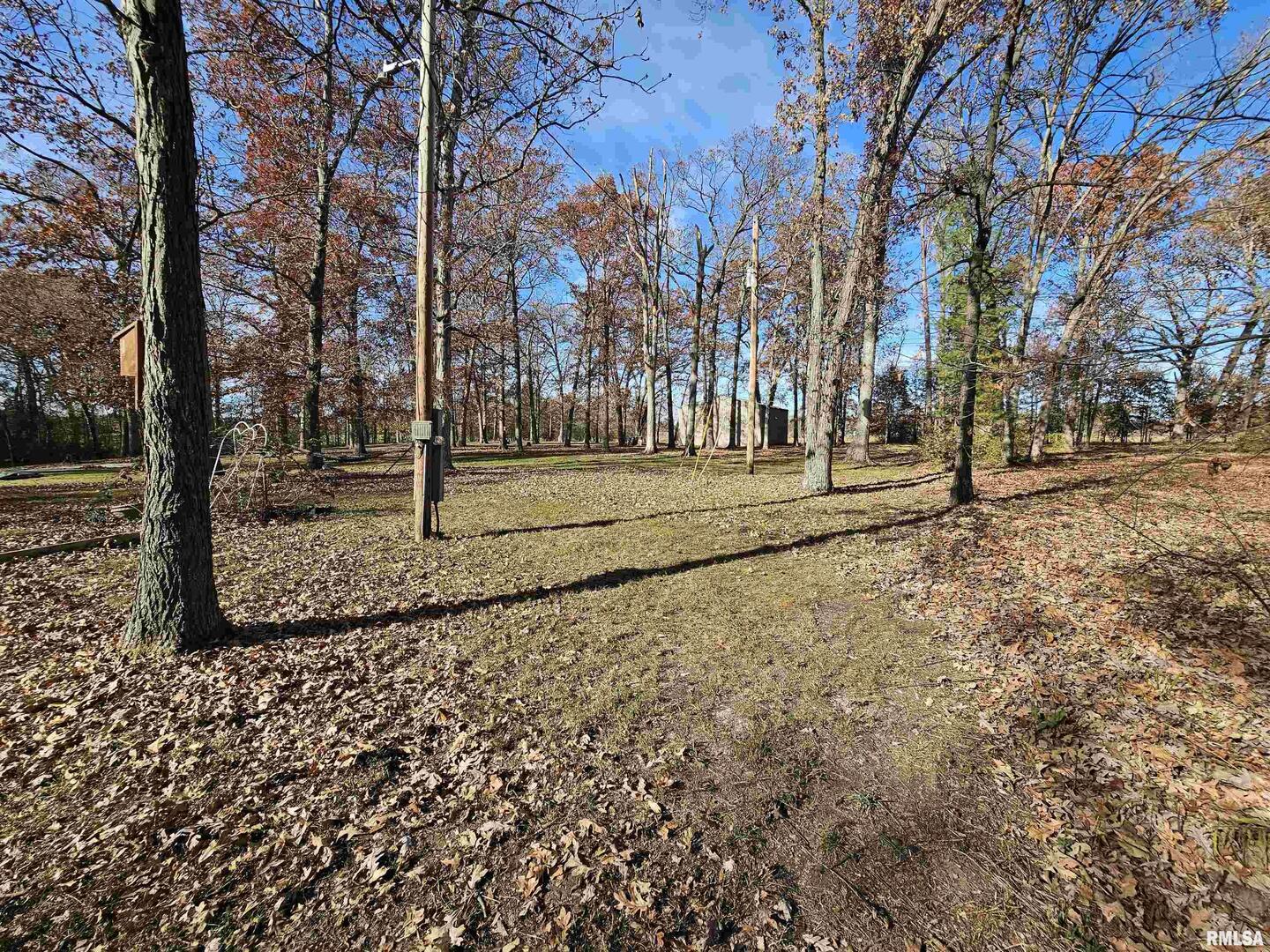 4248 Church Road Salem, IL 62881 - Photo 39 of 57