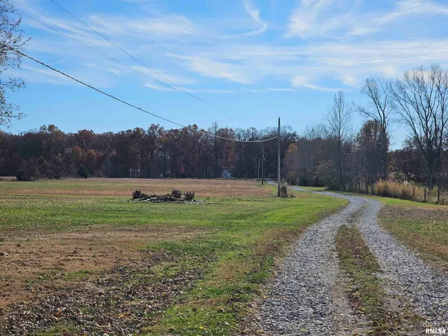 a view of a yard with a trees