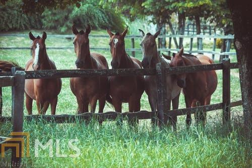0 Hillcrest Road Hogansville, GA 30230 - Photo 1 of 1 Gallery Image 1