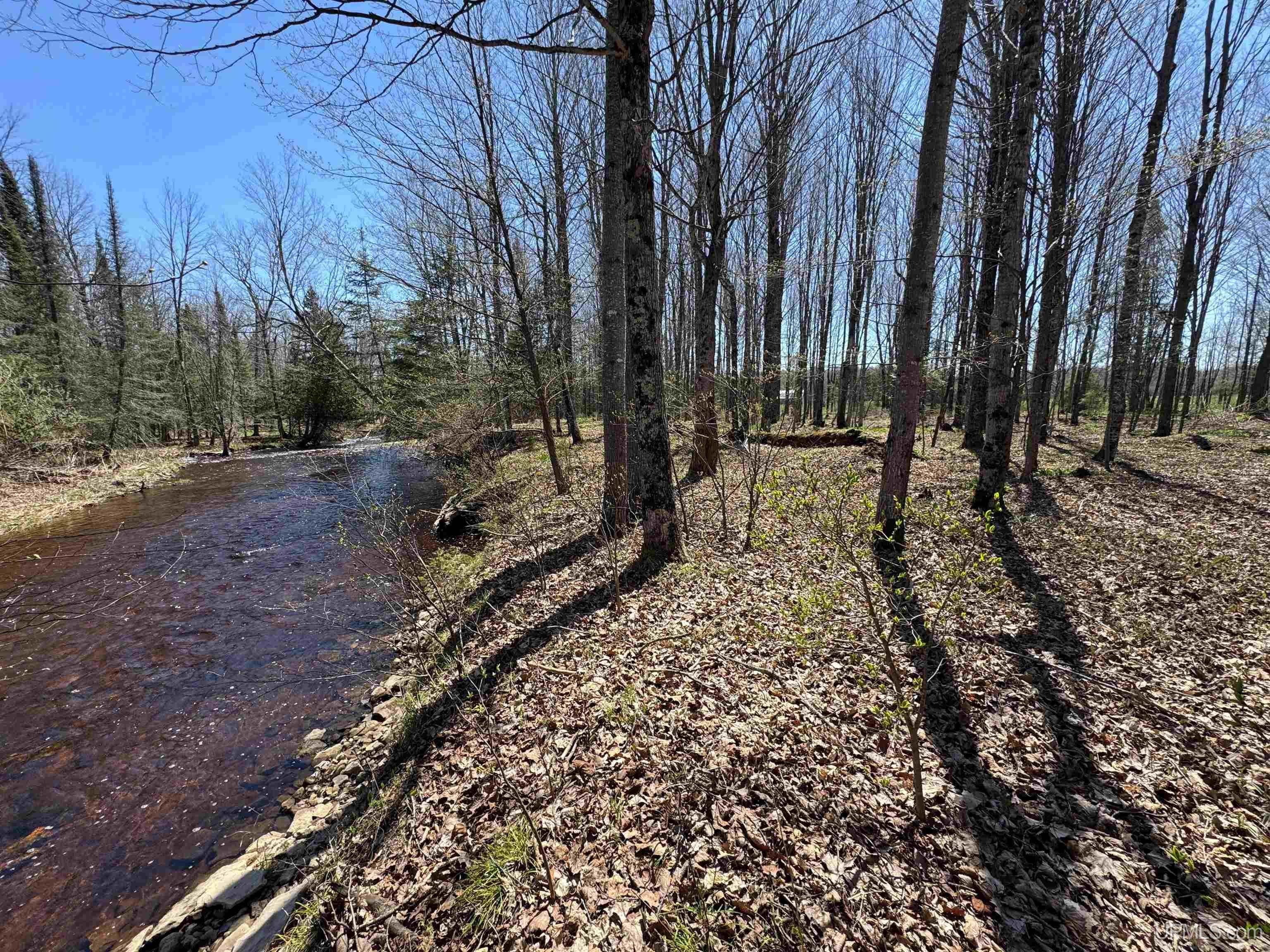 Tbd East Maple Ridge Road Rapid River, MI 49878 - Photo 11 of 23