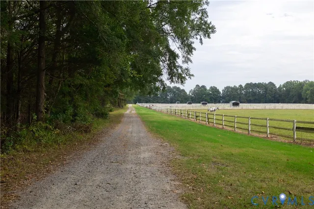 a view of a big room with a big yard and large trees