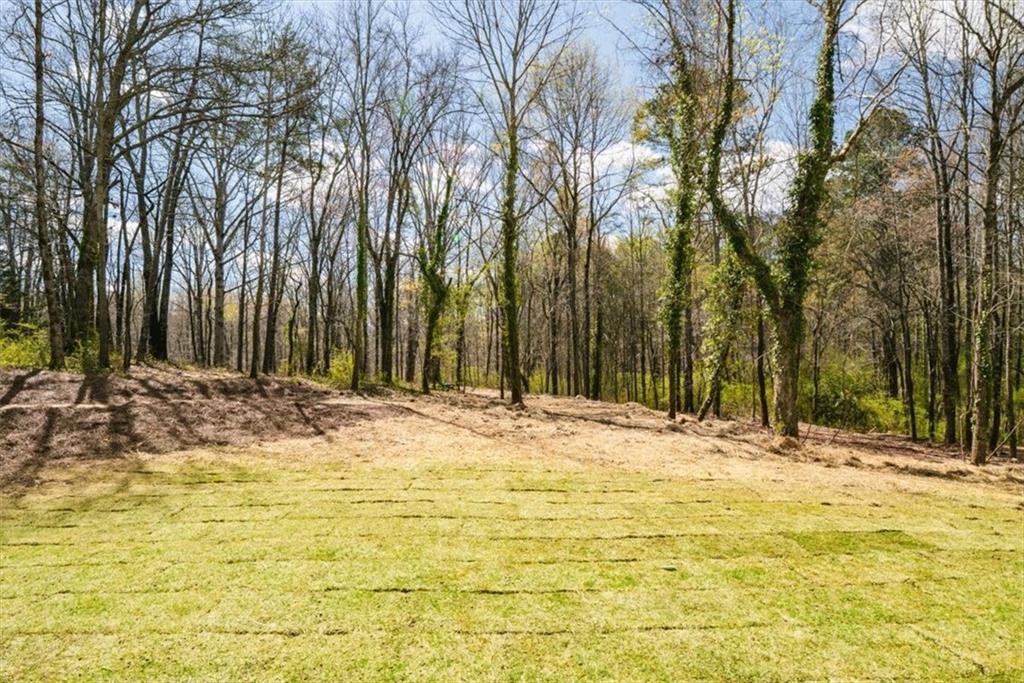 6022 Ben Parks Road Murrayville, GA 30564 - Photo 48 of 54