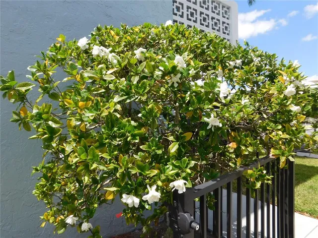 $150,000 | 4715 Bay Street Northeast, Unit 119, St. Petersburg, FL 33703