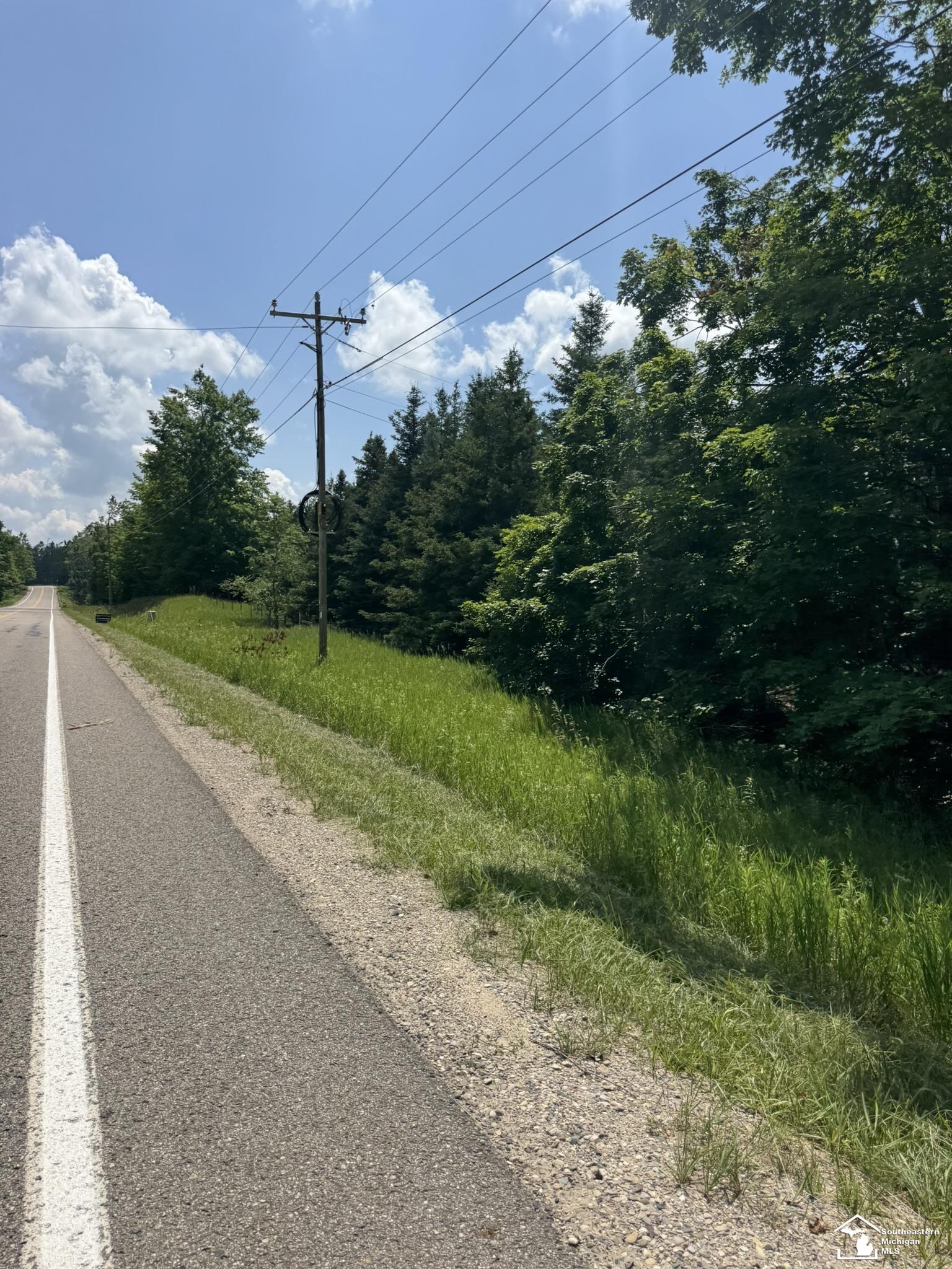 0 Hayes Tower Road Gaylord, MI 49735 - Photo 6 of 14