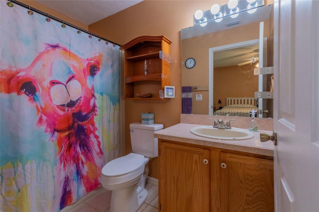 46 Renshaw Drive Palm Coast, FL 32164 - Photo 6 of 29