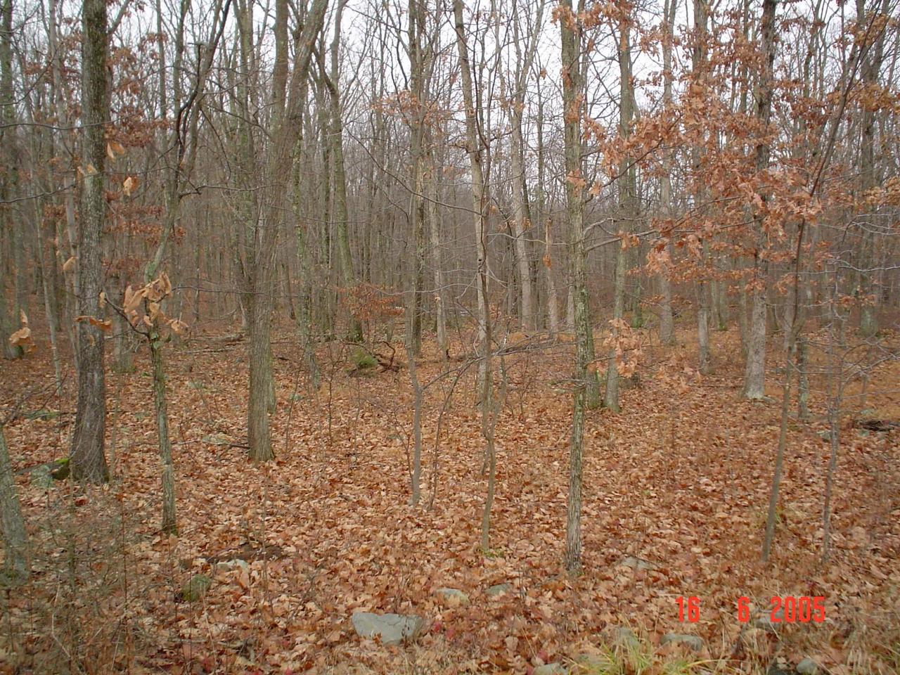 2509 Inverhouse Road Henryville, PA 18332 - Photo 1 of 6 a view of wooden floor