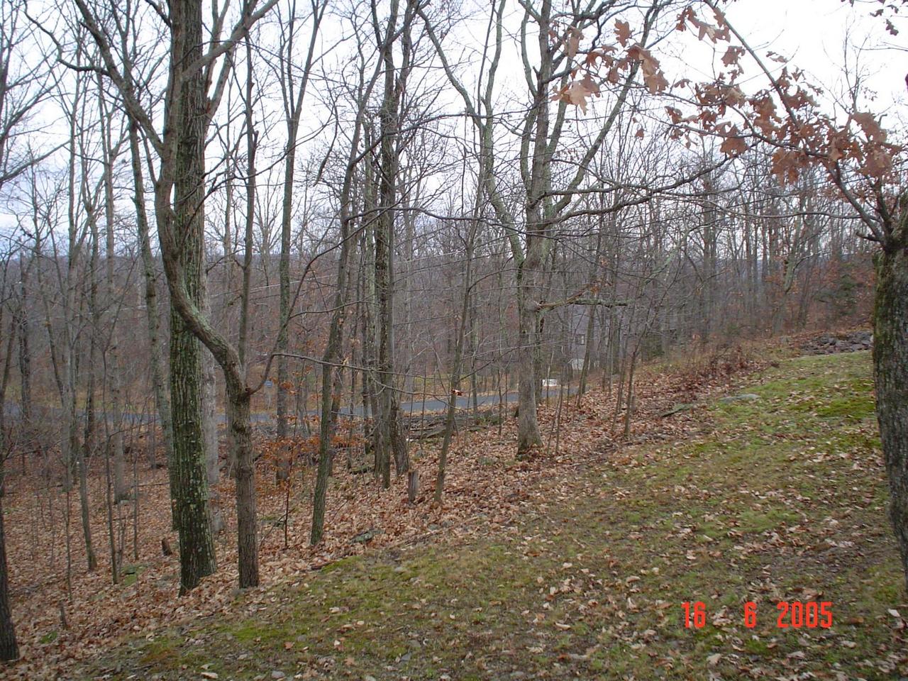 2509 Inverhouse Road Henryville, PA 18332 - Photo 5 of 6 a view of a forest with large trees