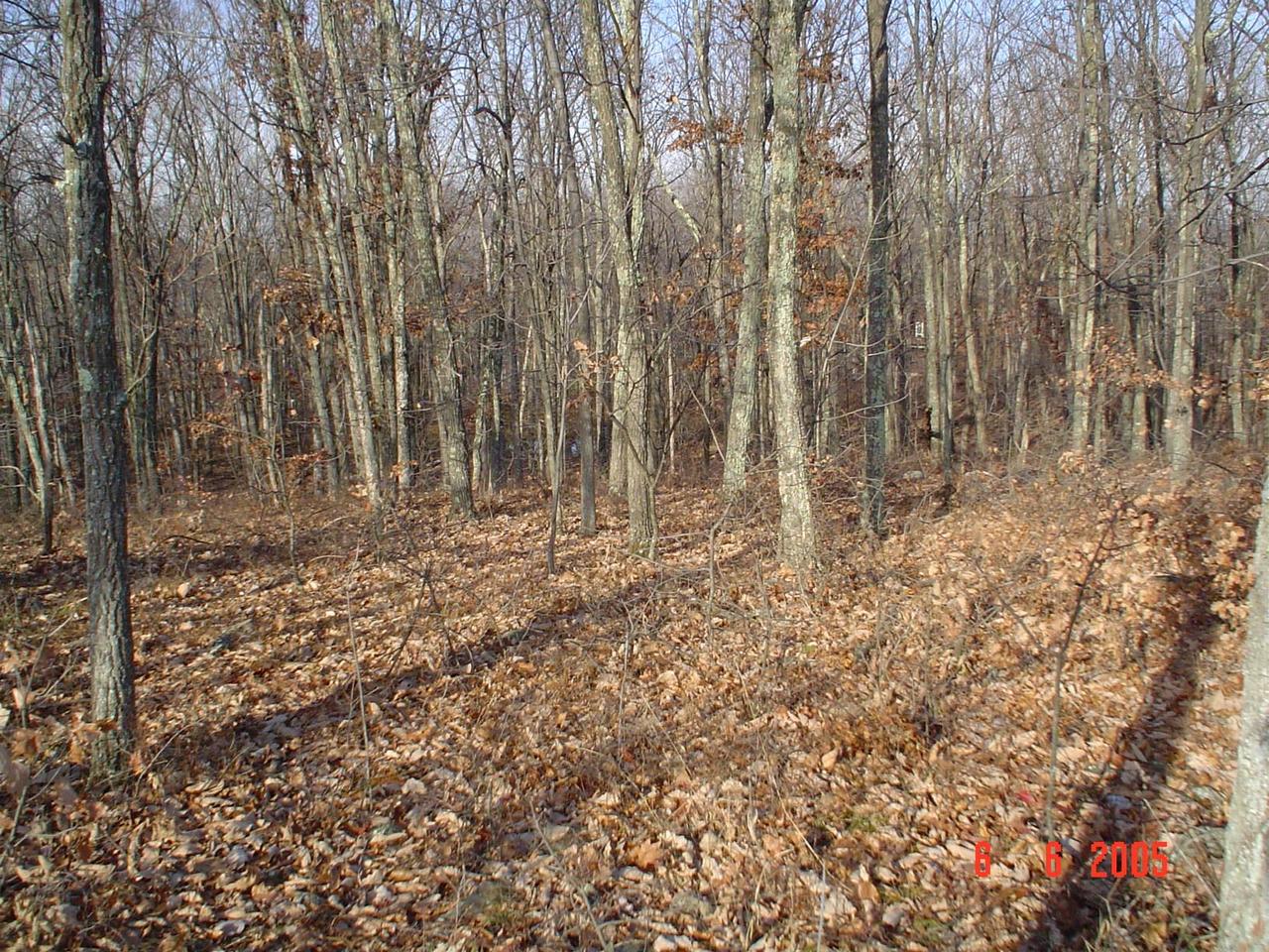 2509 Inverhouse Road Henryville, PA 18332 - Photo 6 of 6 a view of wooden fence