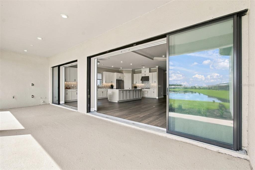 29596 Toricelli Road Wesley Chapel, FL 33543 - Photo 58 of 98 Gallery Image 58