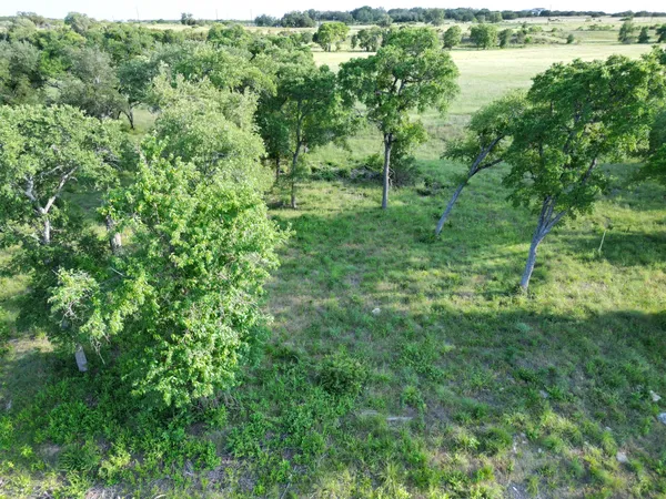 a view of a lush green forest with lots of trees
