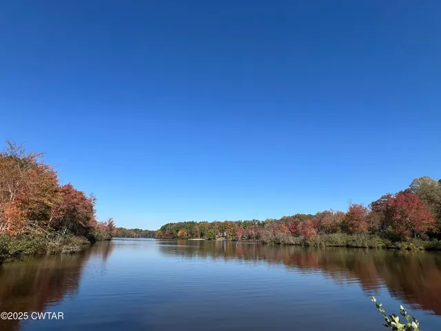 a view of lake with boats