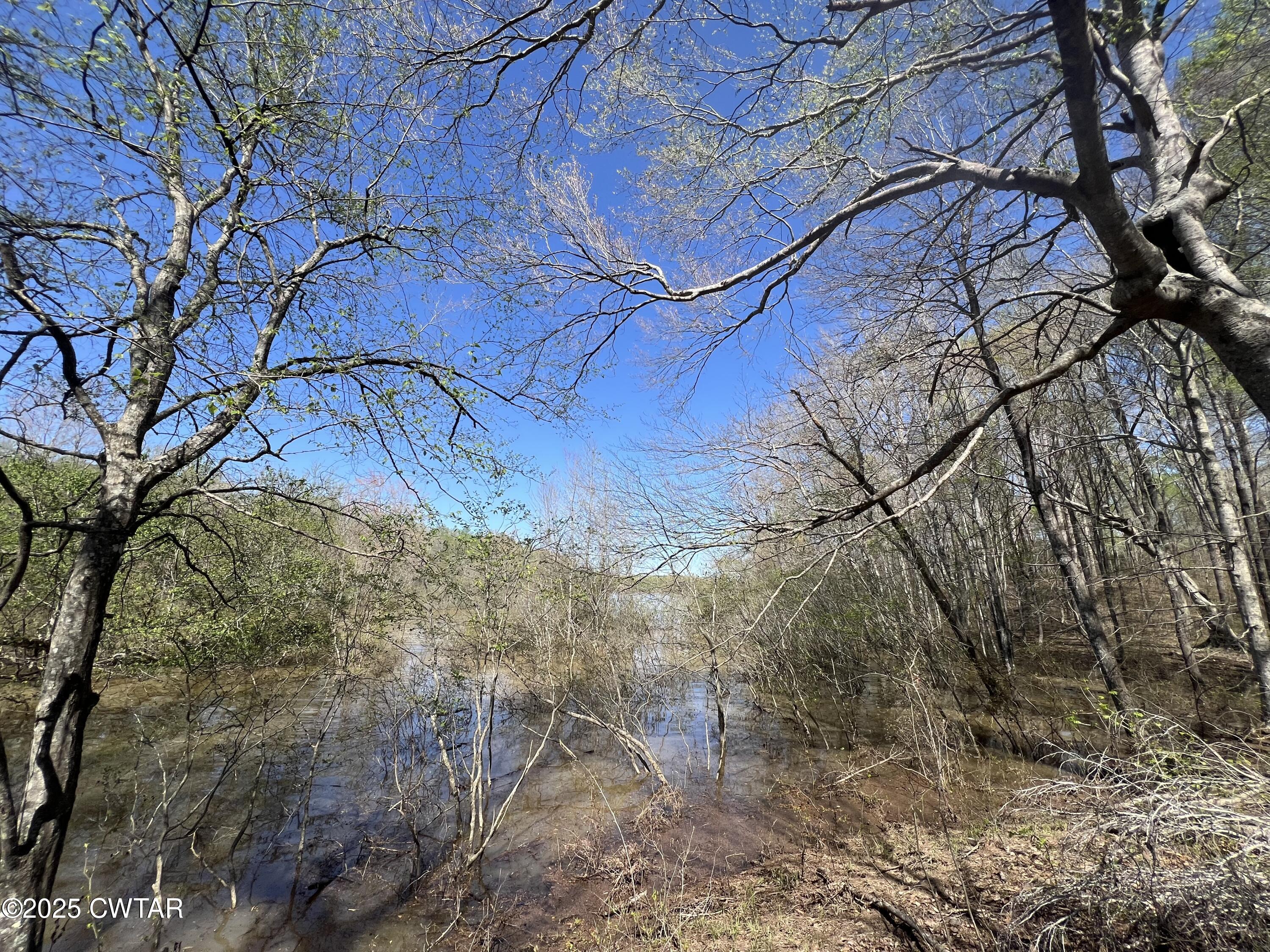 1240 Strike King Drive Cedar Grove, TN 38321 - Photo 2 of 16 a view of a yard