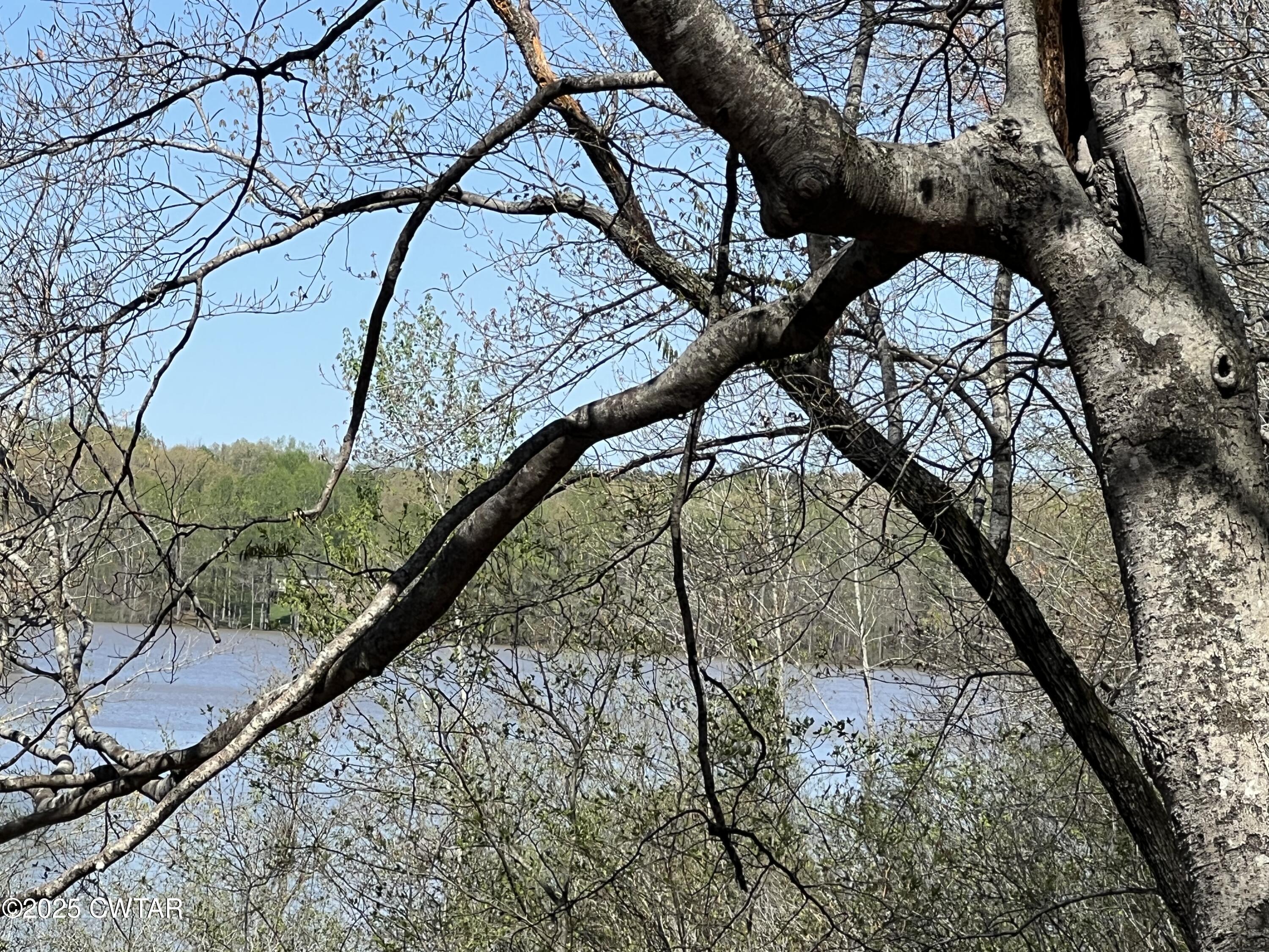 1240 Strike King Drive Cedar Grove, TN 38321 - Photo 5 of 16 a backyard of a house with lots of green space