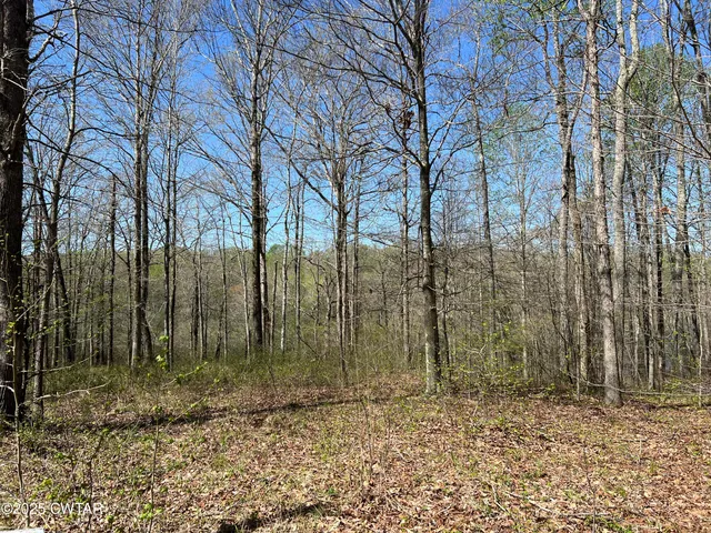 a view of a pathway of a yard