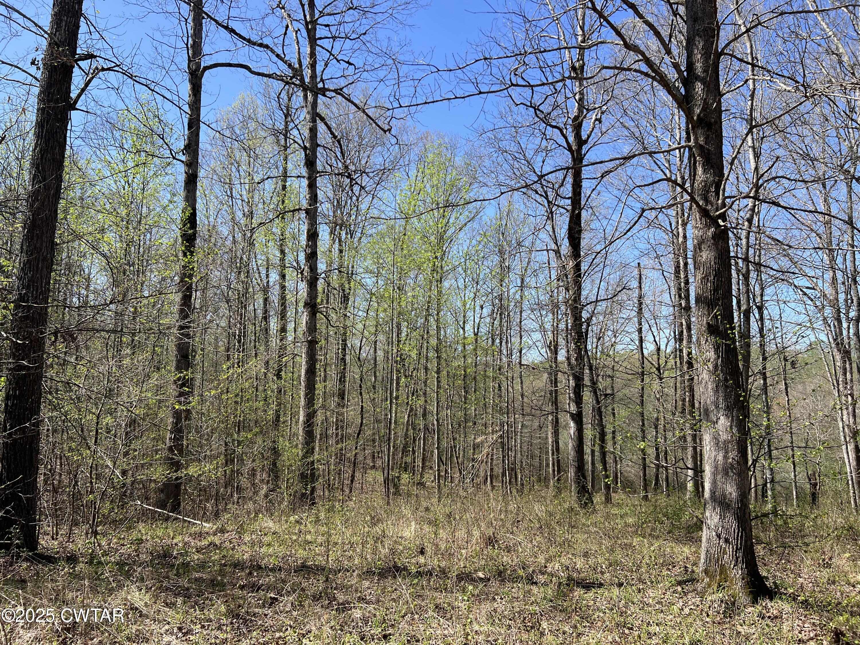 1240 Strike King Drive Cedar Grove, TN 38321 - Photo 10 of 16 a view of a pathway of a building