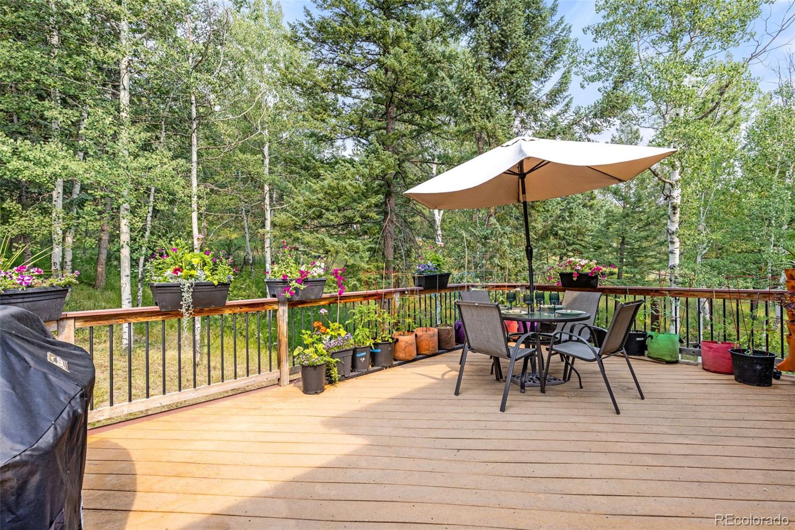 31547 Niakwa Road Evergreen, CO 80439 - Photo 5 of 50