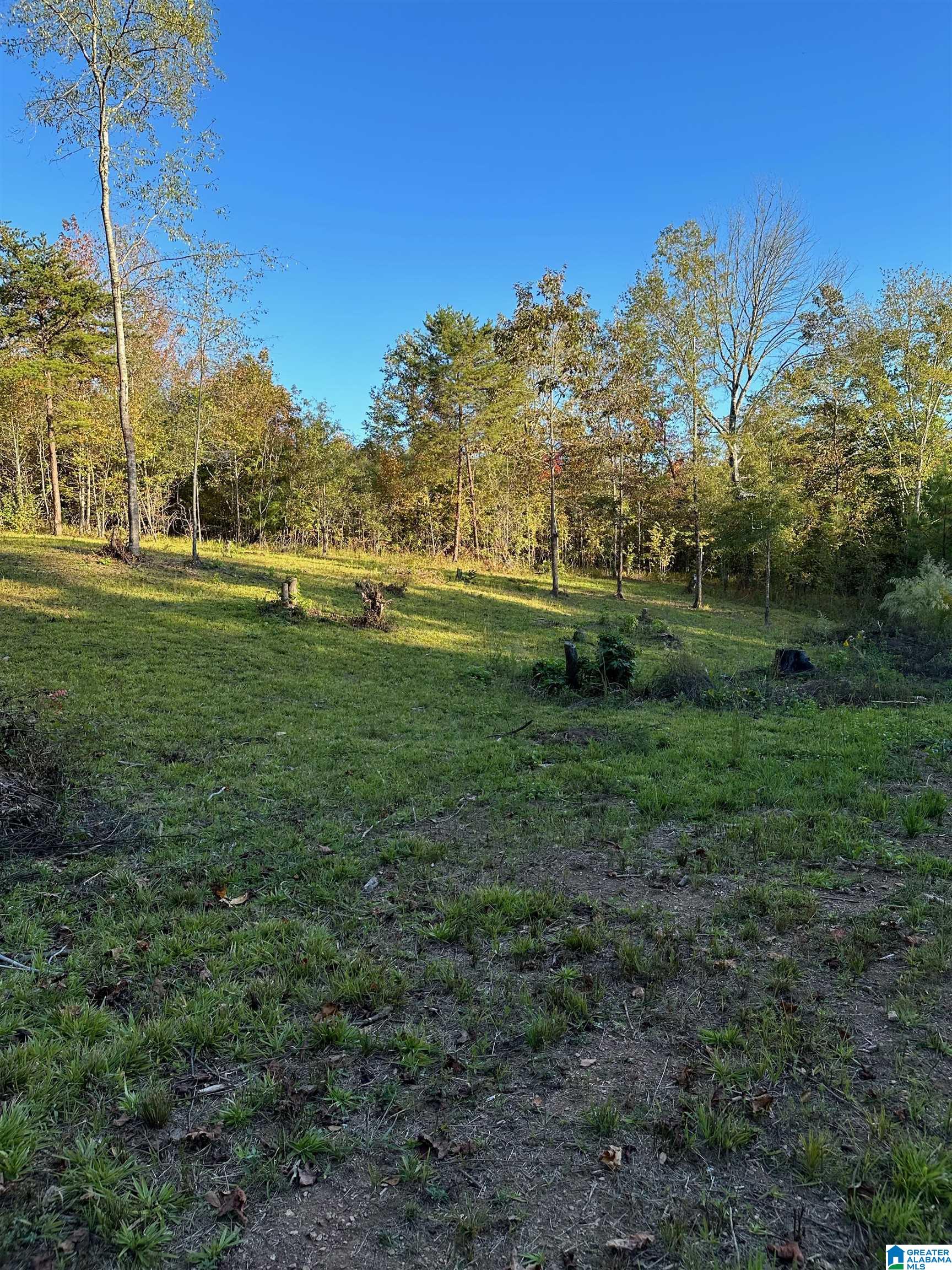 0 Reed Creek Drive Shelby, AL 35143 - Photo 15 of 15