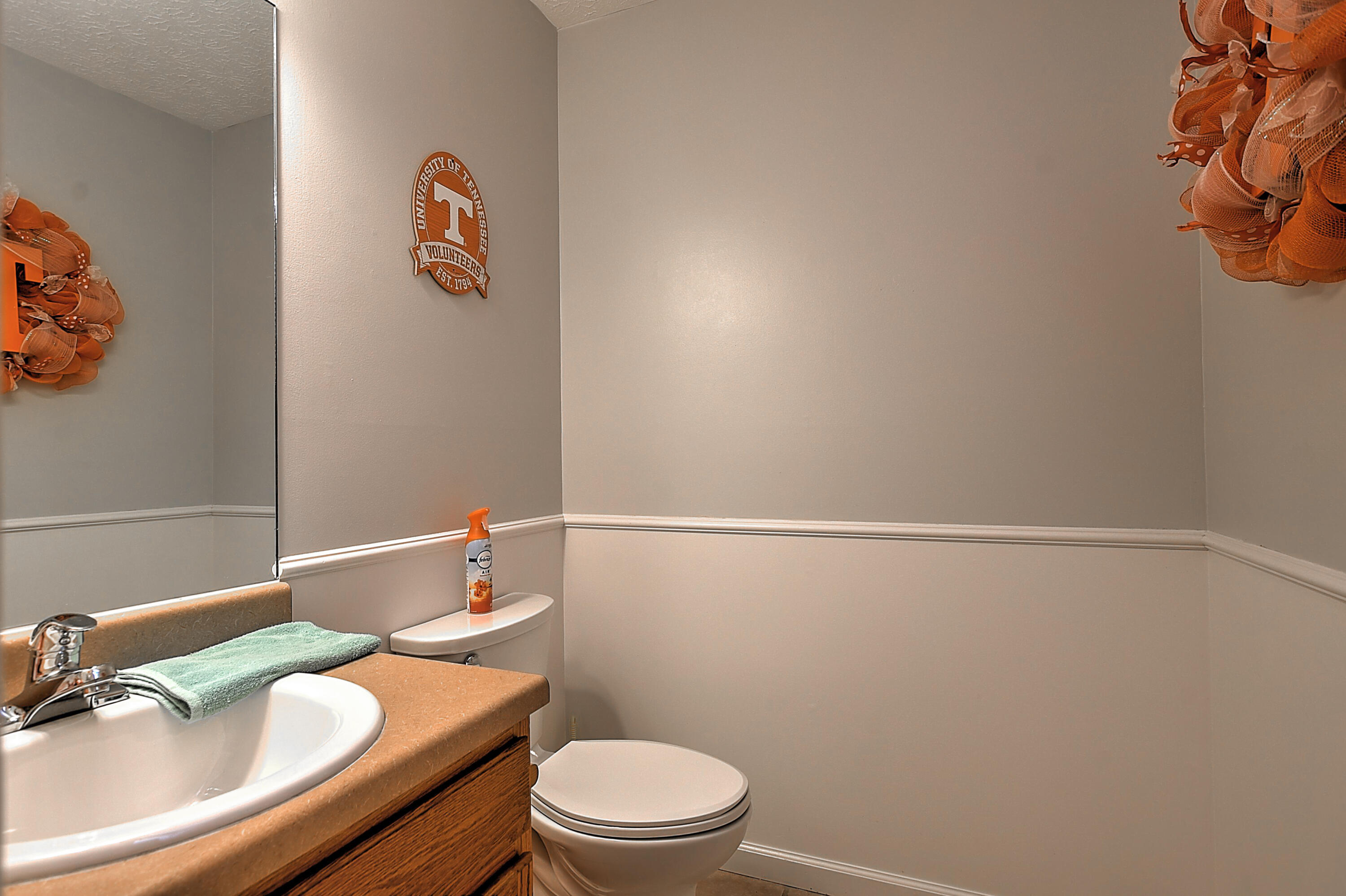 490 Hales Chapel Road Gray, TN 37615 - Photo 8 of 16 490 Hales Chapel-10