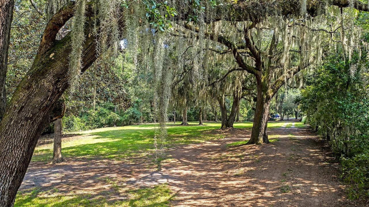2592 Bohicket Road Johns Island, SC 29455 - Photo 4 of 14 Slide13