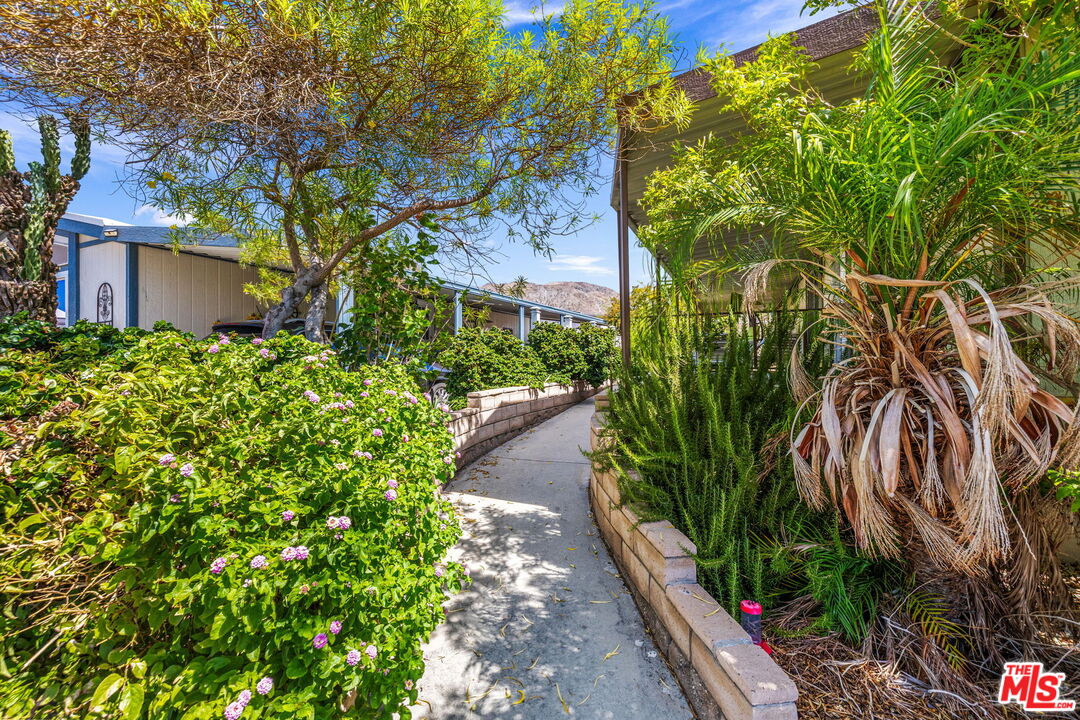 74711 Dillon Road, Unit 503 Desert Hot Springs, CA 92241 - Photo 20 of 52 a view of a garden