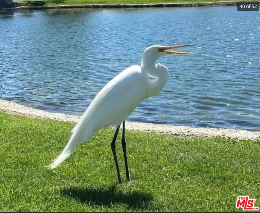 74711 Dillon Road, Unit 503 Desert Hot Springs, CA 92241 - Photo 51 of 52