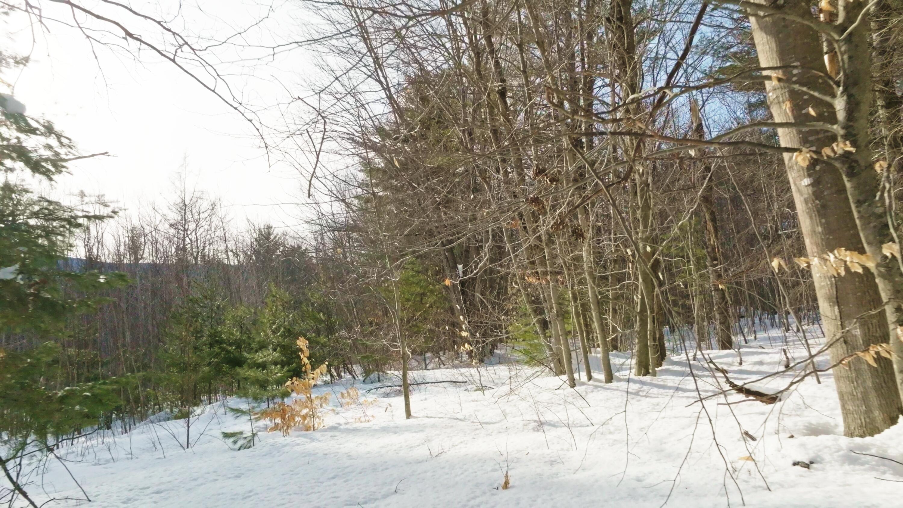 Lot 41 Redding Road Sumner, ME 04292 - Photo 15 of 22 Abbot Pond side