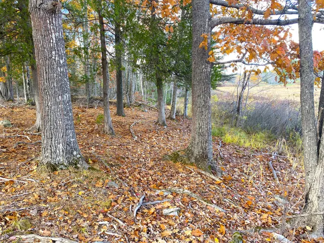$195,000 | Lot 19 Betts Road, Orrington, ME 04474