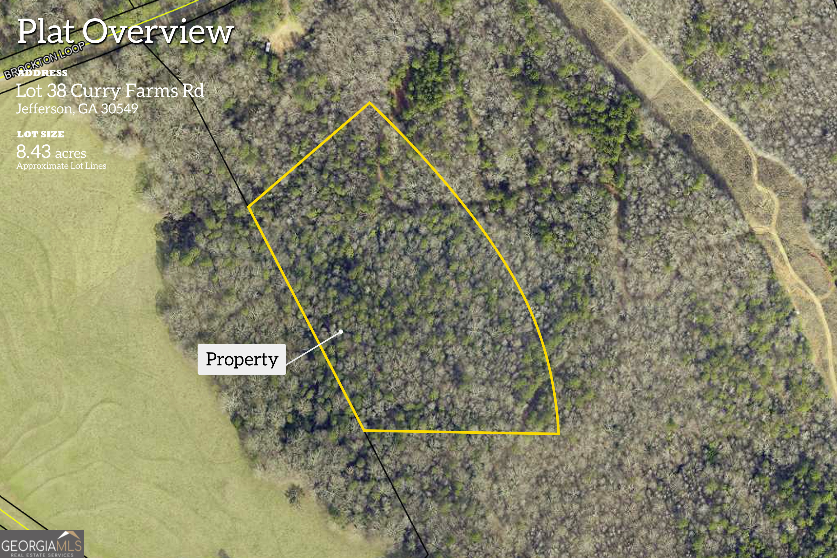 0 Curry Farms Road, Unit LOT 38 Jefferson, GA 30549 - Photo 2 of 36
