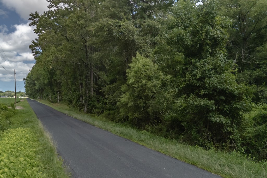 2.35-ac Whites Neck Road, Unit 10 Parksley, VA 23421 - Photo 4 of 4