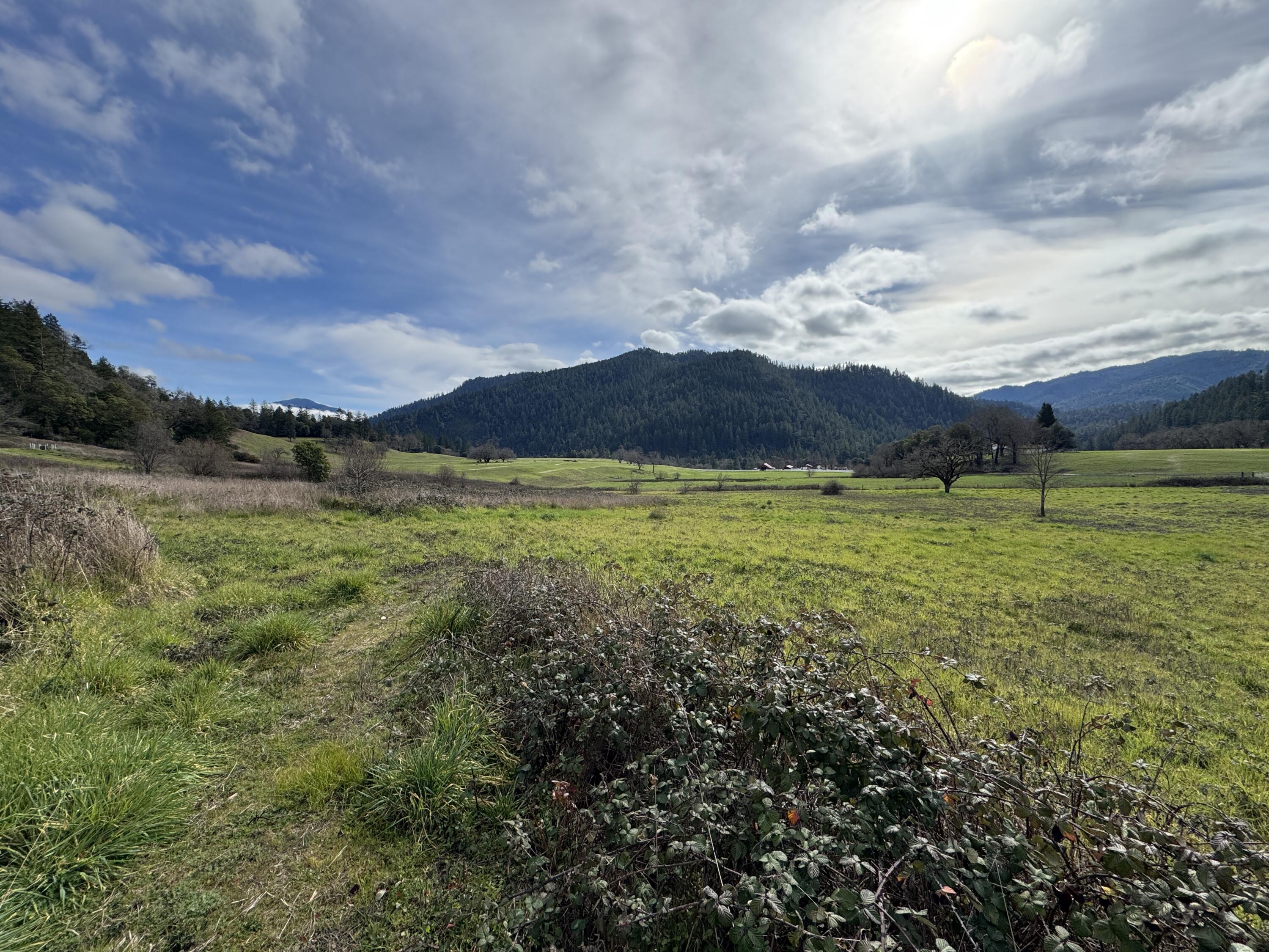 184 Cherry Tree Lane Salyer, CA 95563 - Photo 9 of 21 IMG_0127