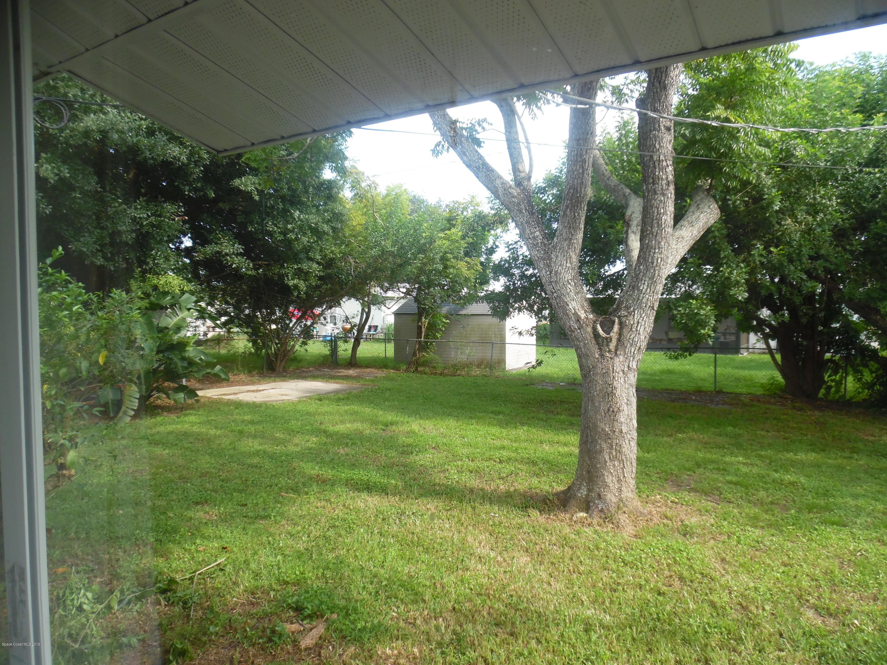 431 Count Street Melbourne, FL 32901 - Photo 15 of 15 Beautiful parklike back yard.