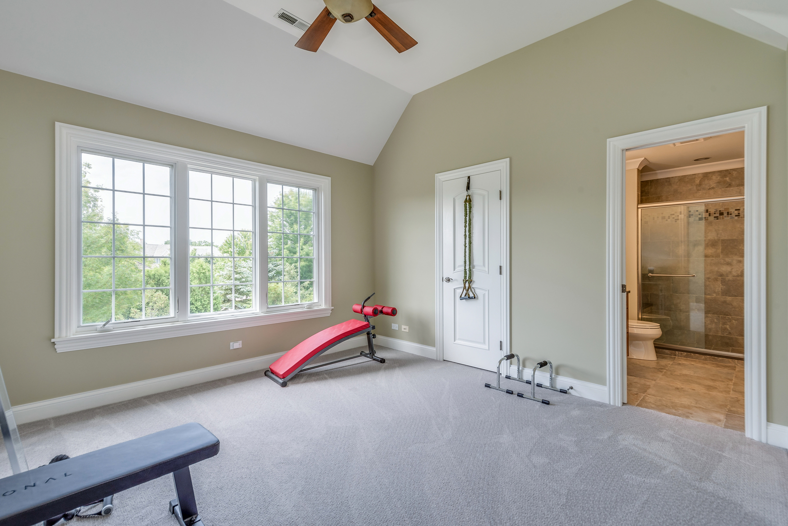 1235 MacAlpin Drive Inverness, IL 60010 - Photo 12 of 20 a view of a room with gym equipment