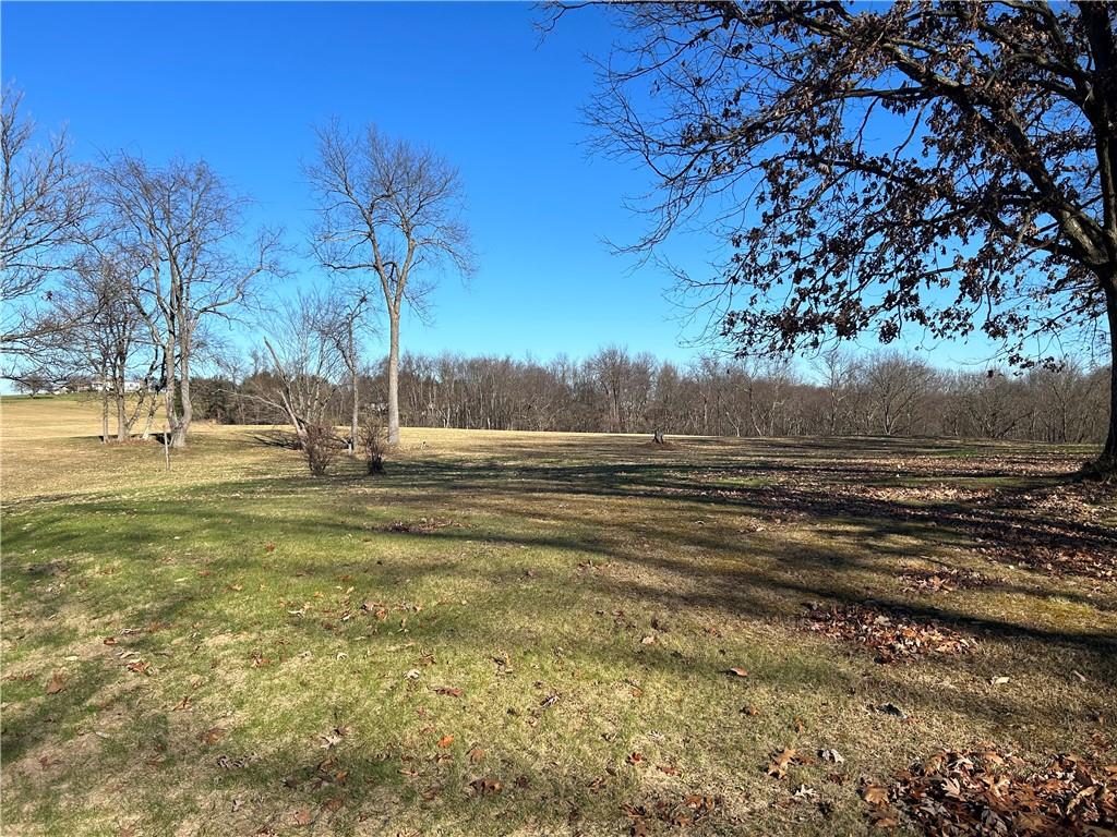 2094 Dime Road Vandergrift, PA 15690 - Photo 9 of 28 a view of dirt yard with large trees