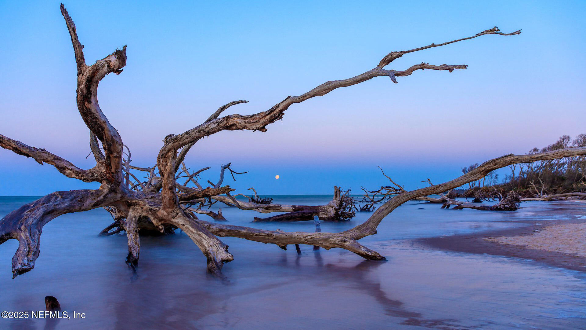 224 Counsel Street Yulee, FL 32097 - Photo 21 of 28 Area Photo 6