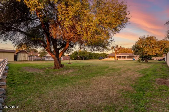 a view of yard with tree s