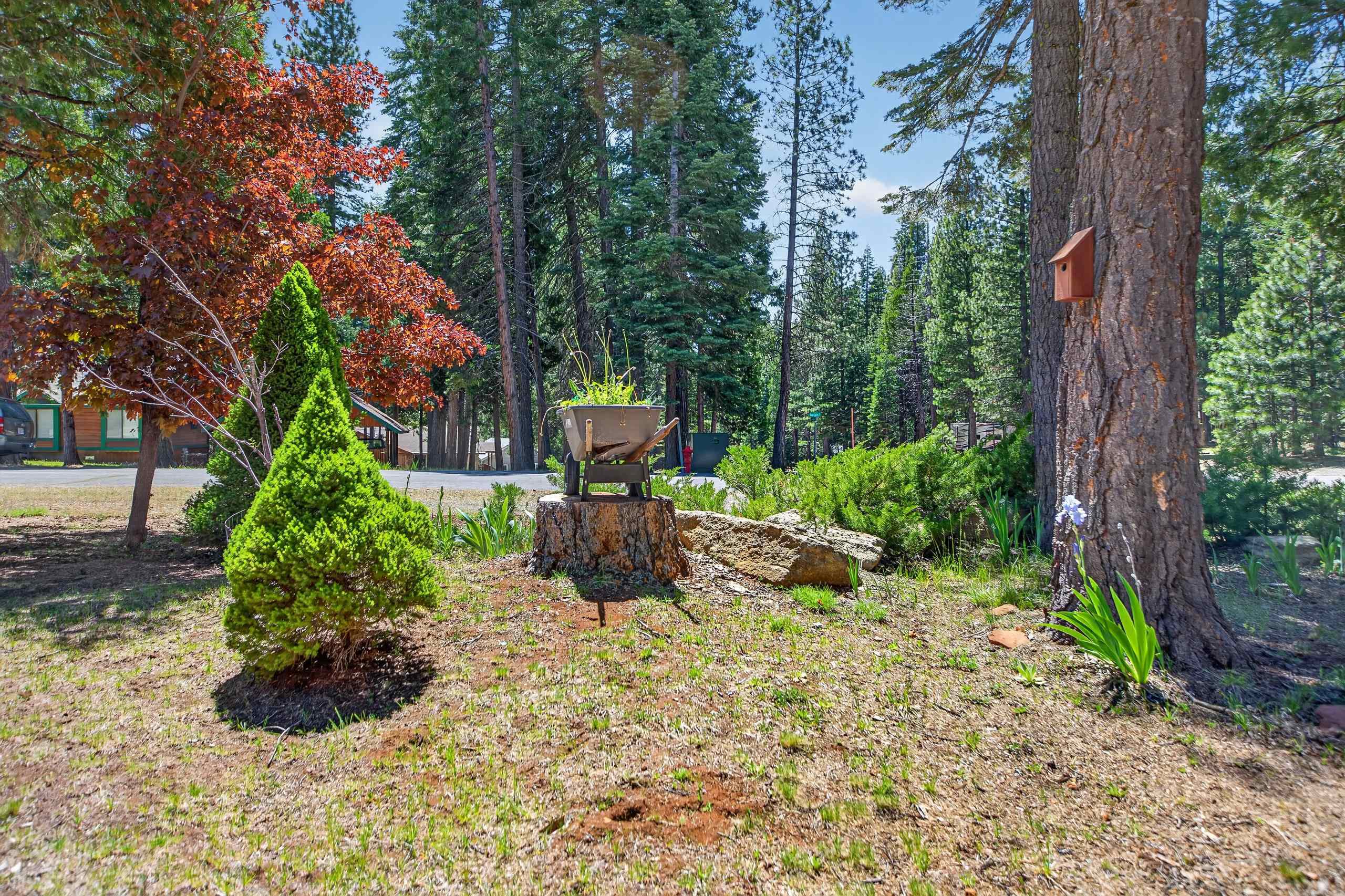 301 Racoon Trail Lake Almanor West, CA 96020 - Photo 30 of 32