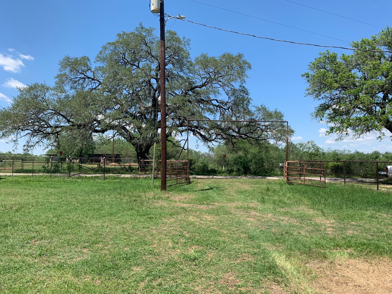 133 Clearfork Road Lockhart, TX 78644 - Photo 8 of 19 a view of a park with large trees