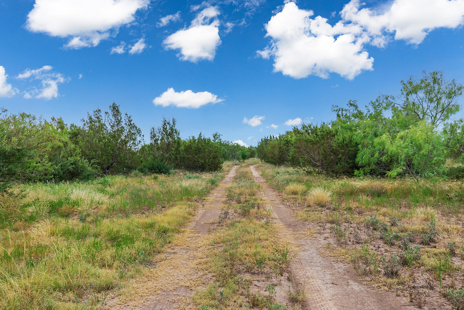 355 Bison Road Eden, TX 76837 - Photo 6 of 14 115A0251-HDR-Edit