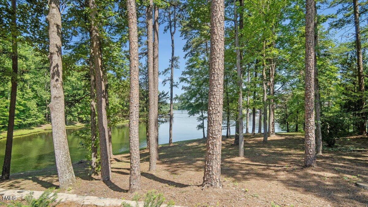 424 Roy Carver Road Semora, NC 27343 - Photo 6 of 68 61-424 Roy Caver Rd Finished (61 of 63)