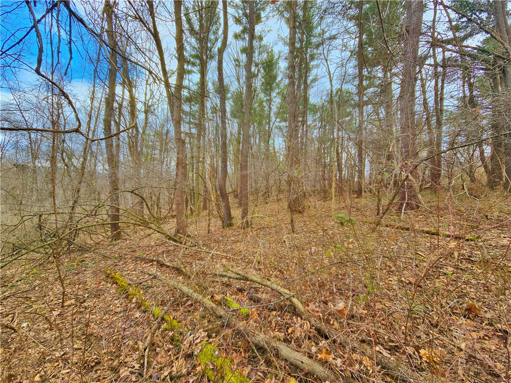 2130 Guyanoga Road Jerusalem, NY 14527 - Photo 16 of 26