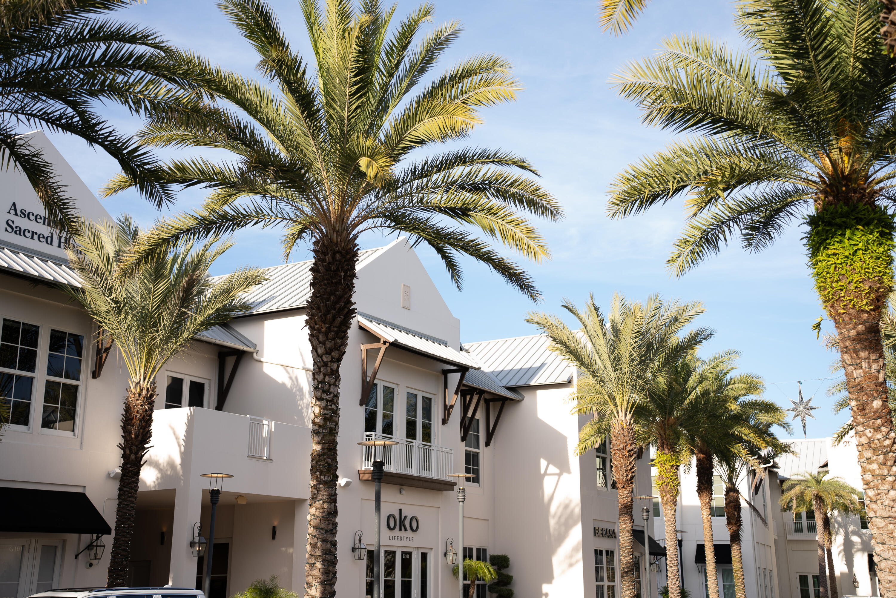 173 West Willow Mist Road Inlet Beach, FL 32461 - Photo 47 of 51 a palm tree sitting in front of a building