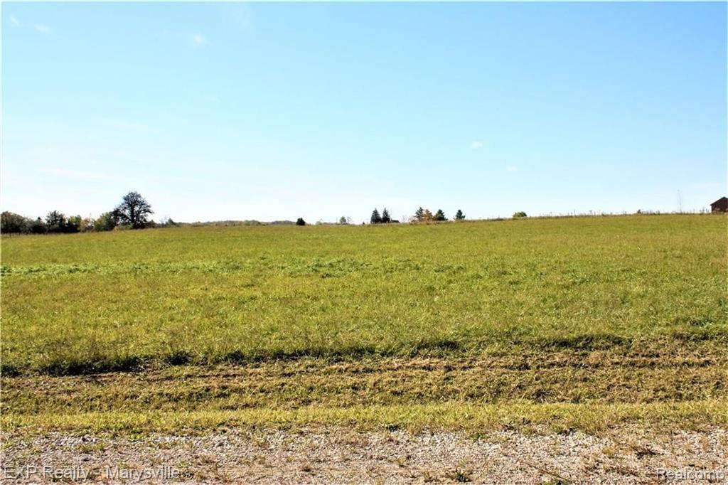 3 Imlay City Road Lapeer, MI 48446 - Photo 1 of 1