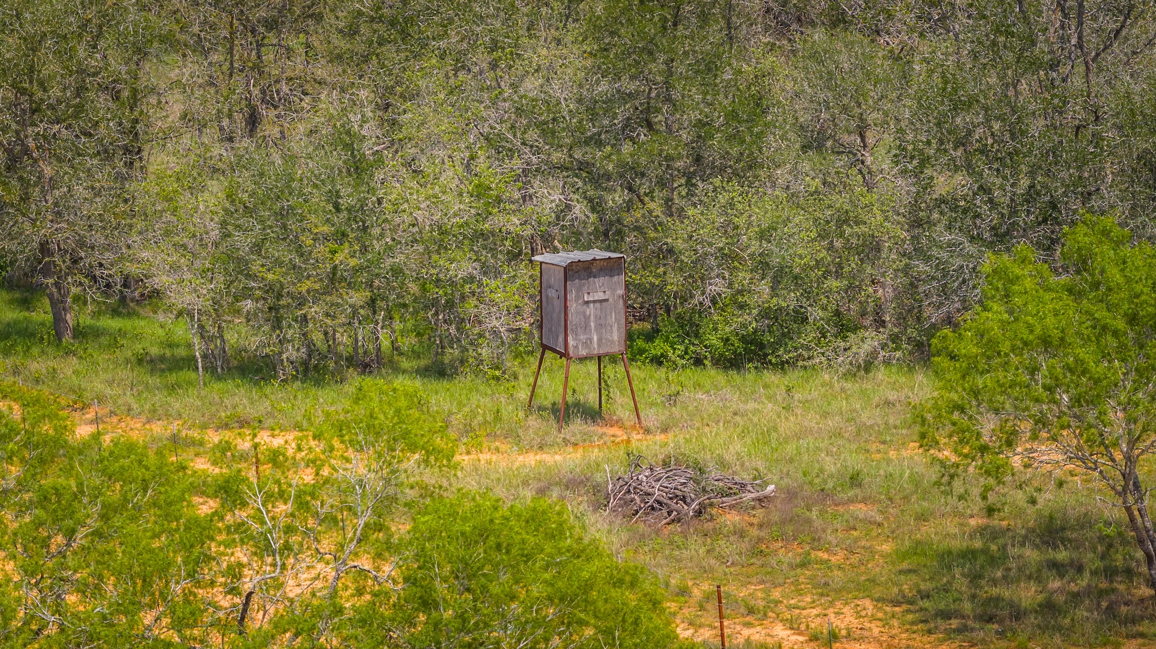 4082 Old Colony Line Road Lockhart, TX 78644 - Photo 35 of 40 A secluded hunting blind is nestled amongst verdant trees and natural clearings.