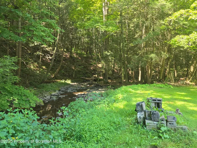 a view of a bench in a garden