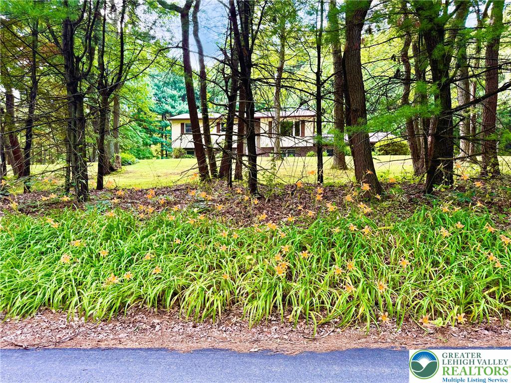 525 Pinewood Road Lehighton, PA 18235 - Photo 5 of 51 Nestled within a mature tree border, this property offers a peaceful, secluded feel with naturalized landscaping.