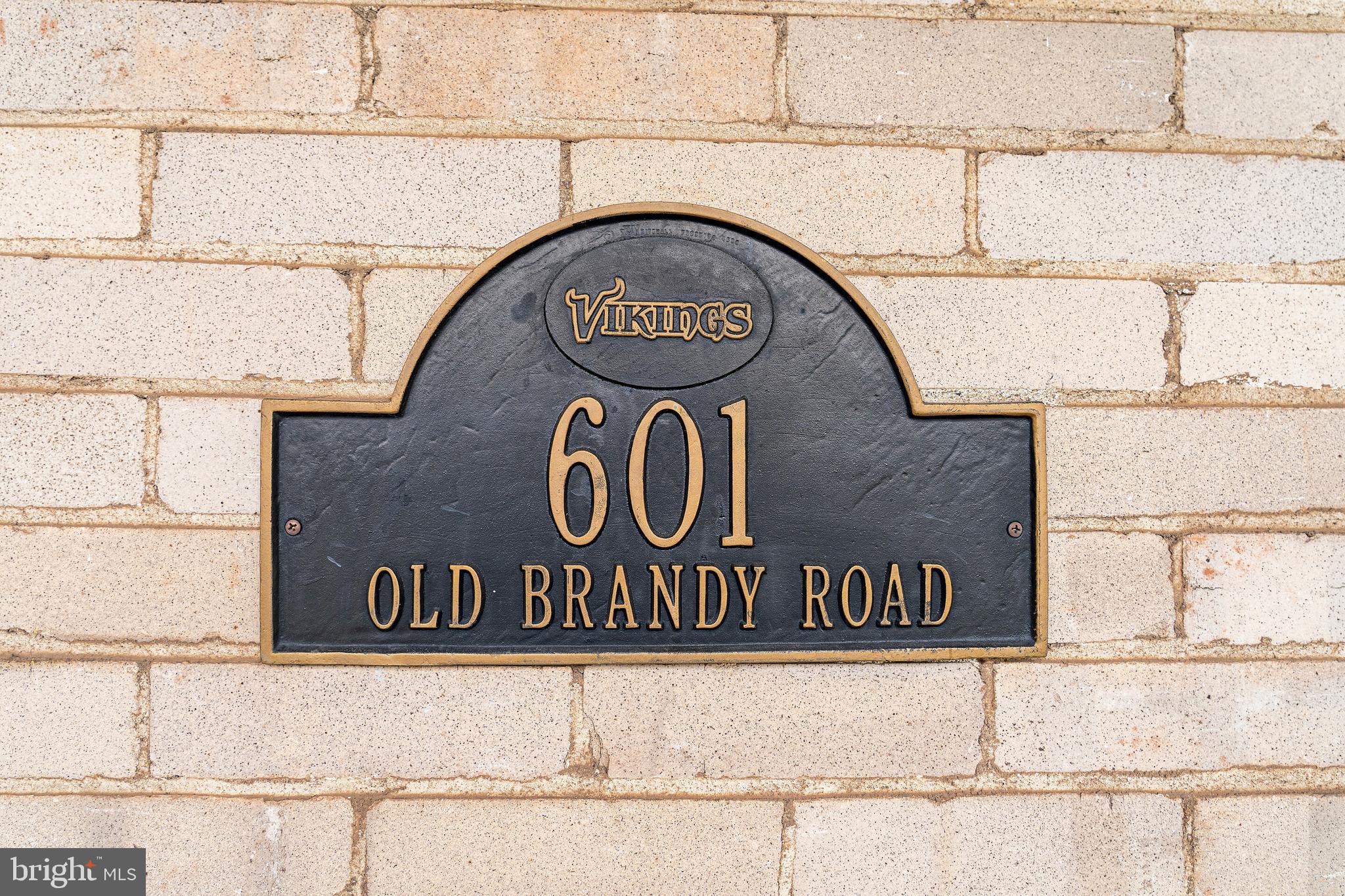 601 Old Brandy Road Culpeper, VA 22701 - Photo 3 of 38