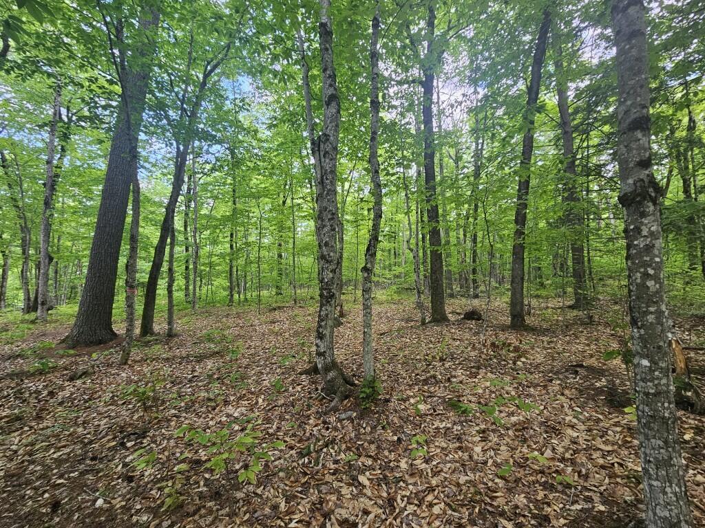 M10-l44 Mountain View Road Fryeburg, ME 04037 - Photo 17 of 36